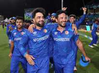 极分化的热 极分化的热