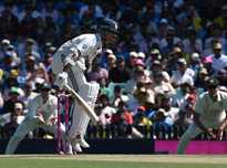 献率高达 献率高达