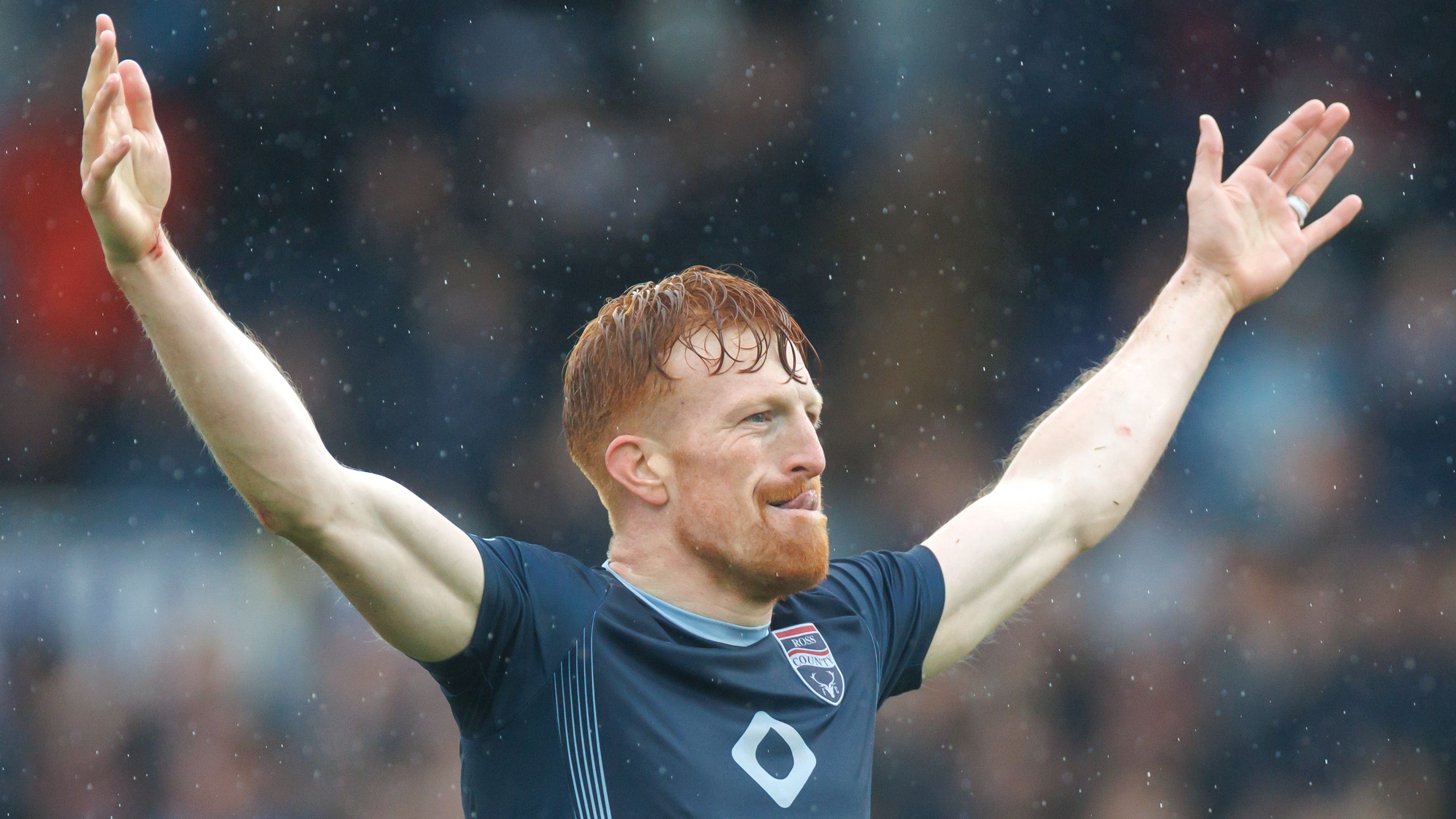 强者与新生 强者与新生